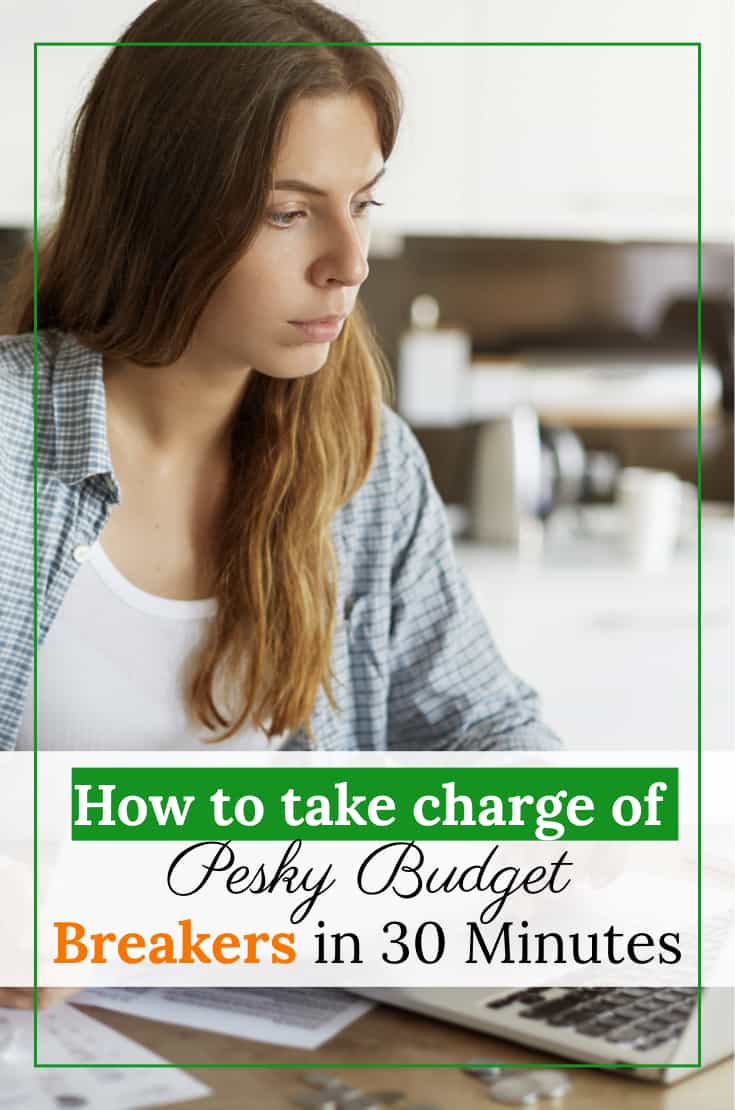 How to take charge of pesky budget breakers in 30 minutes